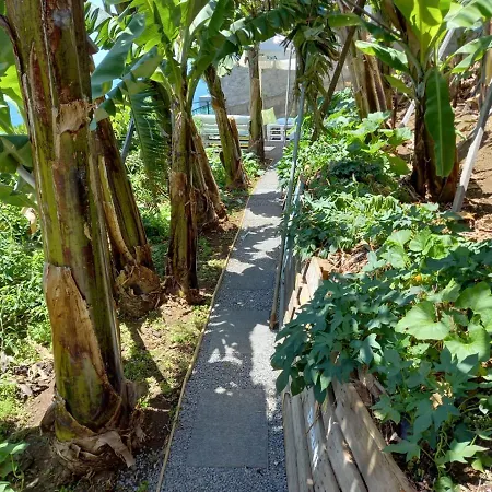 Encanto Do Sol 4* ポンタ・ド・ソル