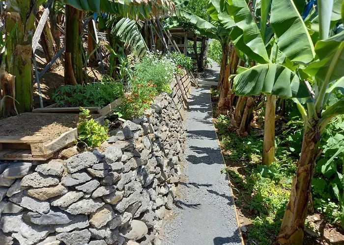 Encanto Do Sol 招待所 蓬他达维托亚