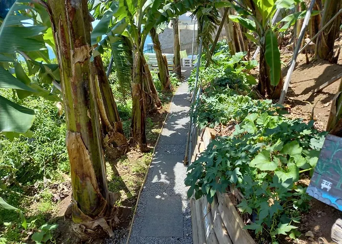 Encanto Do Sol 4* 蓬他达维托亚