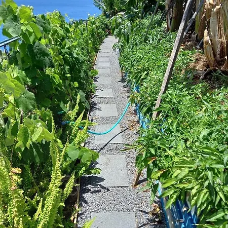 Gasthof Encanto Do Sol 4*