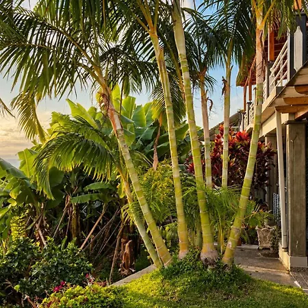 Encanto Do Sol Guest house Ponta do Sol (Madeira)