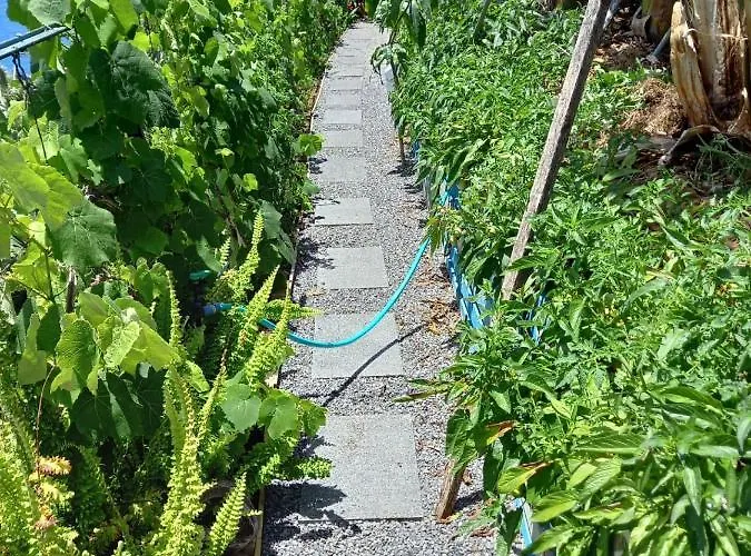 Maison d'hôtes Encanto Do Sol 4*